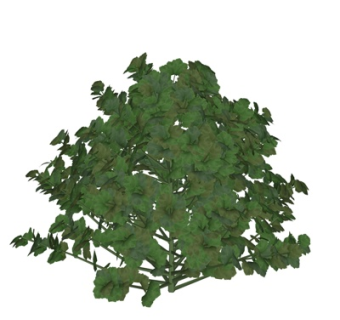 现代盆栽su模型