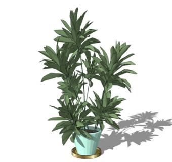 现代盆栽su模型