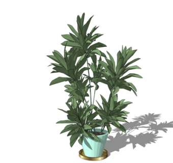 现代盆栽su模型