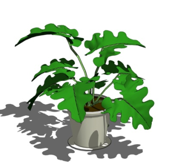 现代盆栽su模型