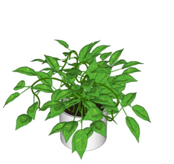 现代盆栽su模型