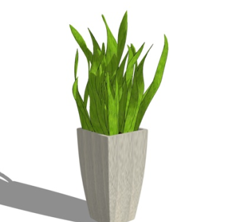 现代盆栽su模型