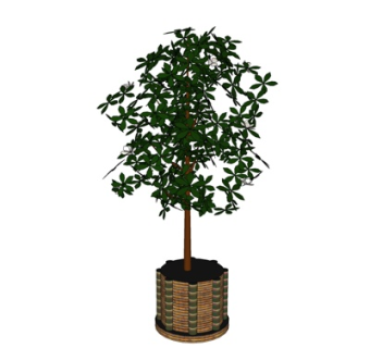 现代盆栽su模型