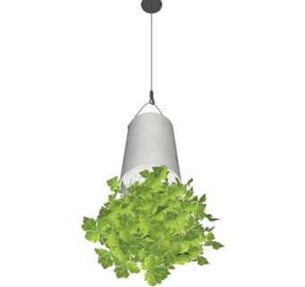 现代盆栽su模型