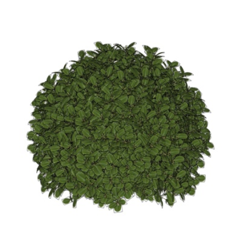 现代盆栽su模型