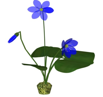 现代盆栽su模型