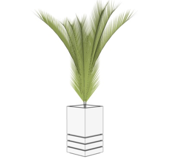 现代盆栽su模型