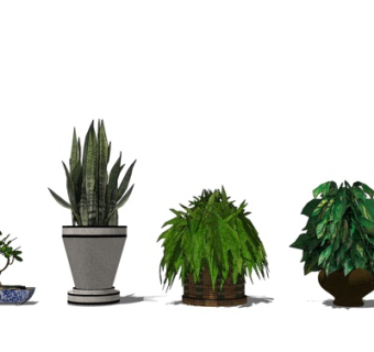 现代盆栽su模型