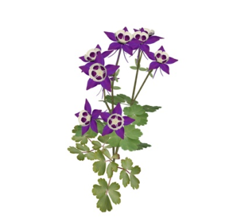 现代盆栽su模型