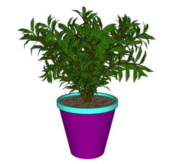 现代盆栽su模型