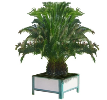 现代盆栽su模型