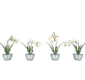 现代盆栽su模型