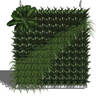 现代植物墙su模型