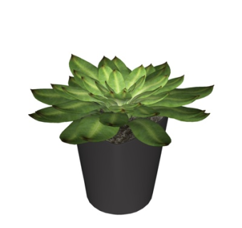 现代盆栽su模型