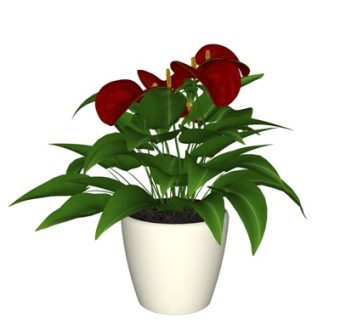 现代盆栽su模型