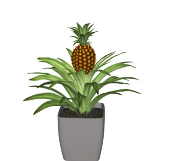 现代盆栽su模型