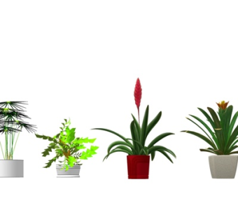 现代花卉盆栽su模型