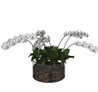 现代花卉花瓶su模型