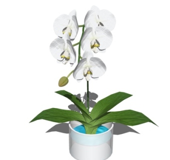 现代花卉花瓶su模型