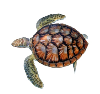 现代海龟su模型