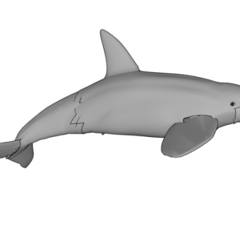 现代海豚su模型