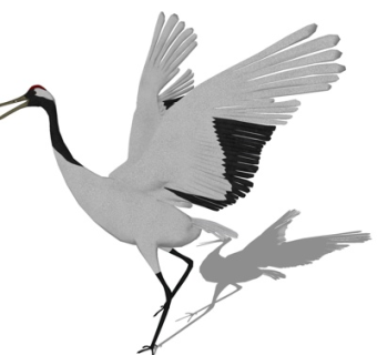 现代丹顶鹤su模型