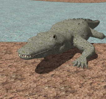 现代鳄鱼su模型