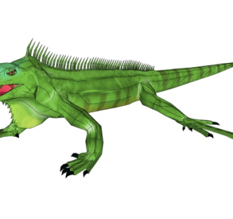 现代绿鬣蜥su模型