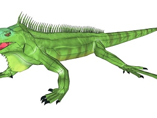现代绿鬣蜥su模型