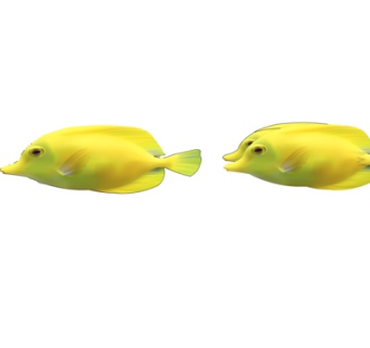 现代黄金吊su模型