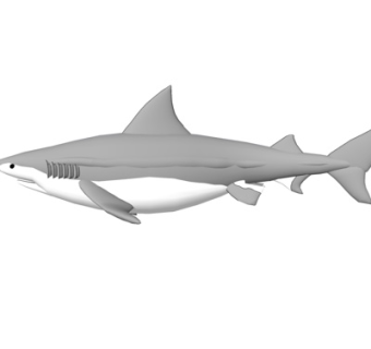 现代鲨鱼su模型