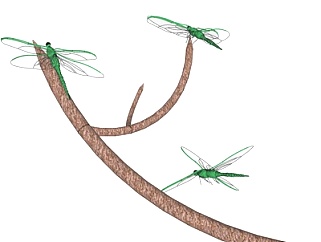 现代<em>蜻蜓</em>su模型