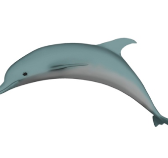 现代海豚su模型