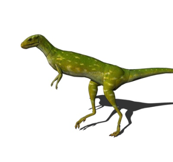 现代快盗龙su模型