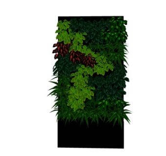 现代植物墙su模型