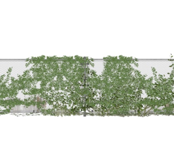 现代植物墙su模型