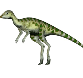 现代奥斯尼尔龙su模型