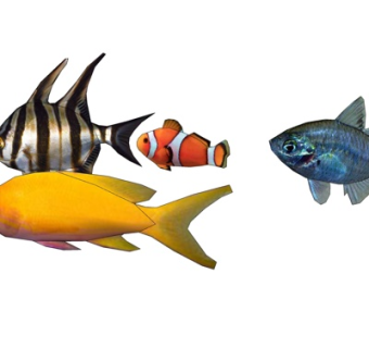 现代海鱼su模型