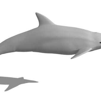 现代海豚su模型
