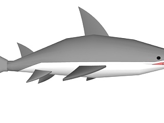 现代鲨鱼su模型