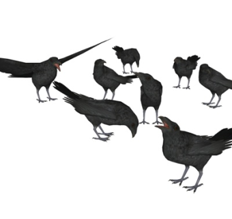 现代乌鸦su模型