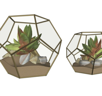 现代多边形多肉植物su模型