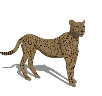 现代老虎su模型