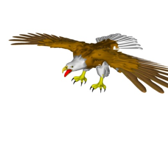 现代猫头鹰su模型