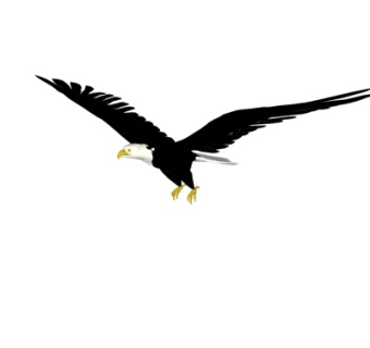 现代老鹰su模型