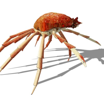 现代八爪鱼su模型