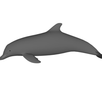 现代海豚su模型