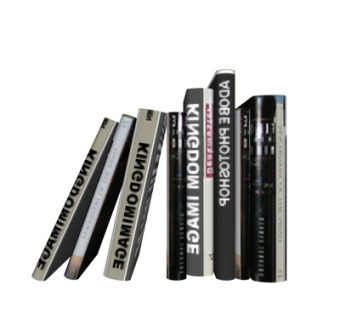 现代书籍组合su模型