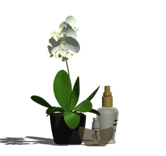 现代花卉洗手液摆件su模型