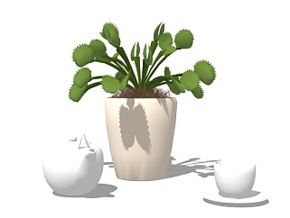 现代绿植盆栽茶壶摆件su模型